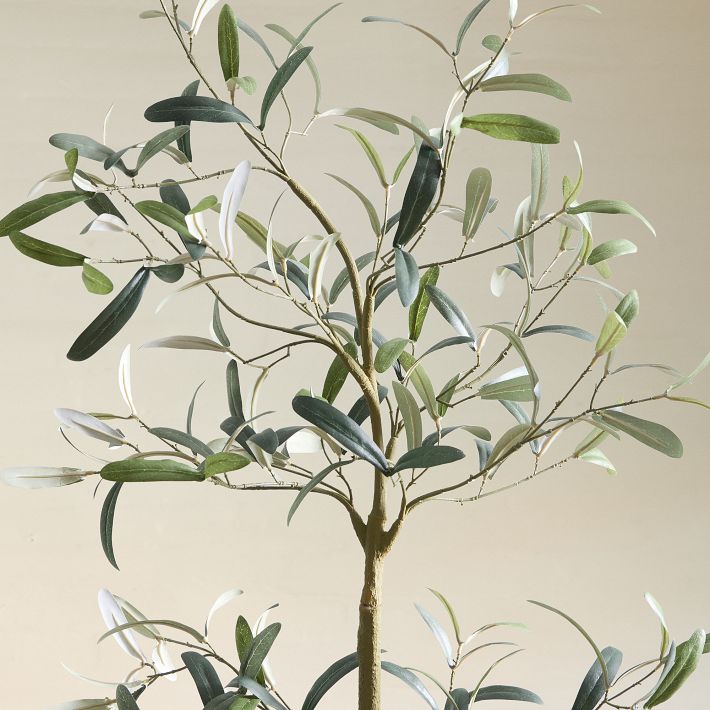 Faux Potted Sparse Olive Tree | West Elm