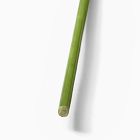 Faux Queen Anne's Lace Green/Ivory Branch