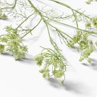 Faux Queen Anne's Lace Green/Ivory Branch