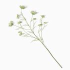 Faux Queen Anne's Lace Green/Ivory Branch