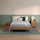 BeautySleep by Beautyrest Dream Weaver 12.5" Firm Quilted Innerspring Mattress