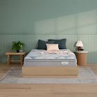 BeautySleep by Beautyrest Dream Weaver 14.25" Medium Pillow Top Mattress