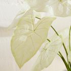 Faux Potted Dasheen Leaf Plant