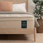Leesa + West Elm Natural Hybrid Mattress