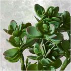 Faux Potted Jade Plant