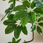 Faux Potted Tropical Tree