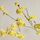 Faux Yellow Bud Branch