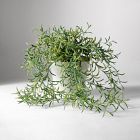 Faux Potted Drippy Plant