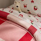 Modern Santa Pillowcase Set