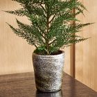 Faux Juniper Tree