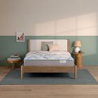 BeautySleep by Beautyrest Dream Weaver 12.25" Medium Euro Top Mattress