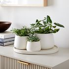 Dahlia Ceramic Planters - Set of 3