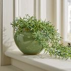 Faux Potted Drippy Plant