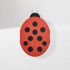 Lady Bug Mirror