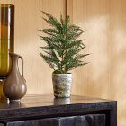 Faux Juniper Tree