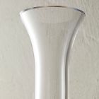 Juliana Wine Decanter