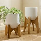 Max Planters w/ Stand