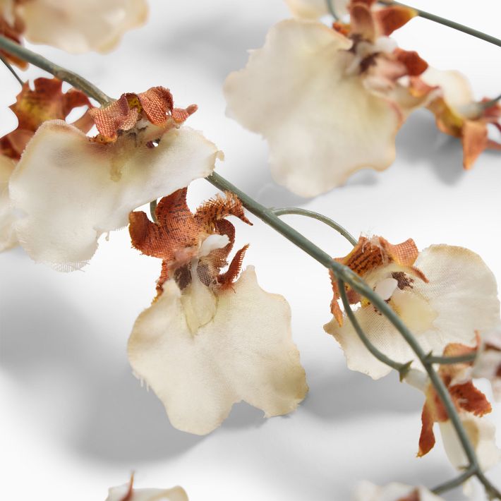 Faux Dancing Orchid Stem Decor | West Elm