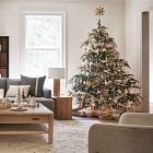 Dreamy Medallion Rug