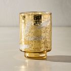 Evergreen Etched Glass Filled Candles - Sage &amp; Cedar