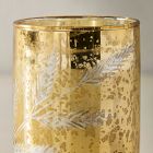 Evergreen Etched Glass Filled Candles - Sage &amp; Cedar