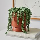 Faux Potted Donkey Tail Plant