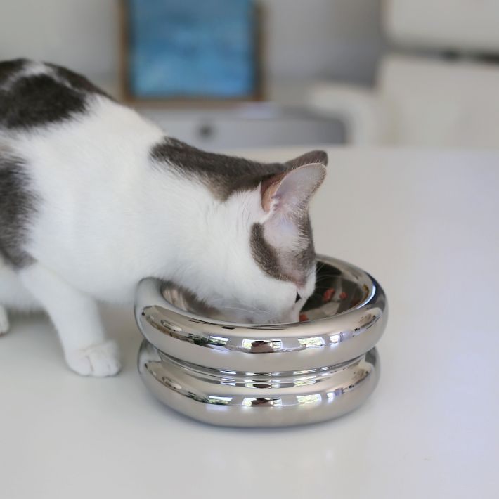 Catenary Halo Chrome Pet Bowl | West Elm