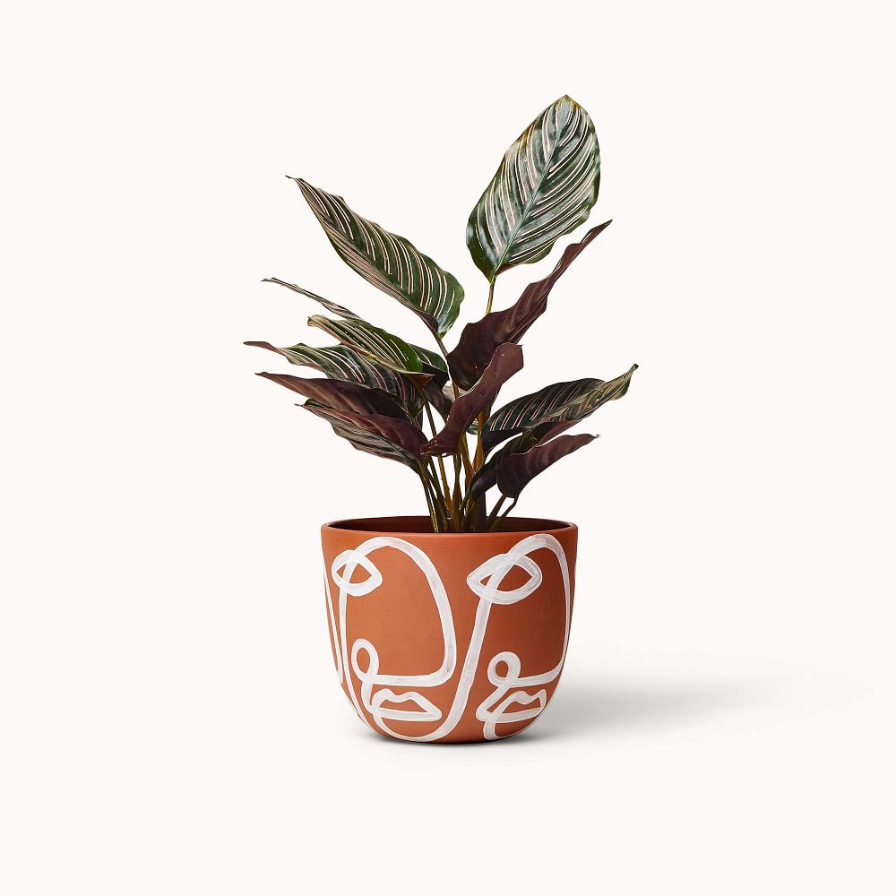 Franca NYC Cara Planter by West Elm