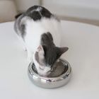 Catenary Halo Chrome Pet Bowl