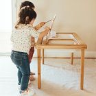 Wonder &amp; Wise Land, Sea &amp; Water Table Art Center