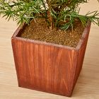 Faux Potted Alpine Tree w/ Pine Cones