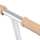 Banwood Eco Scooter