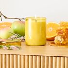 Field Kit - The Beekeeper Candle