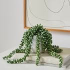 Open Box: Faux Potted Donkey Tail Plant, Small