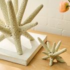 Spiky Ceramic Objects