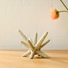 Spiky Ceramic Objects