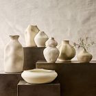 Organic Form Vases