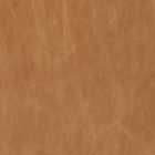 Open Box: Hyde Leather Dining Chair - Ludlow Leather Cumin, Blonde