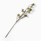 Faux Kiwi Pod Branch