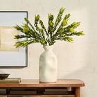 Faux Leucadendron Bundle