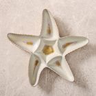 Starfish Stoneware Chip &amp; Dip