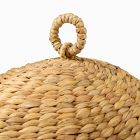 Sea Turtle Woven Storage Basket