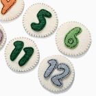 Felt Month Baby Milestone Card Set