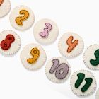 Felt Month Baby Milestone Card Set