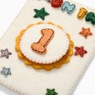 Felt Month Baby Milestone Card Set
