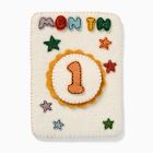 Felt Month Baby Milestone Card Set