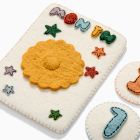 Felt Month Baby Milestone Card Set