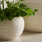 Rounded Ceramic Fluted Tabletop Planters