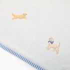 Lawn Pawty Baby Blanket
