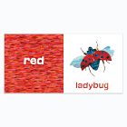 The Very Hungry Caterpillar's Easter Colors